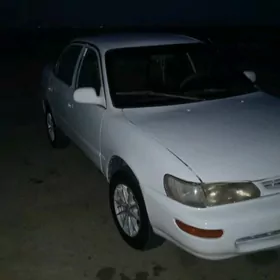 Toyota Corolla 1996