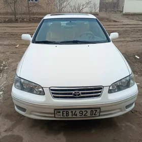 Toyota Camry 2001