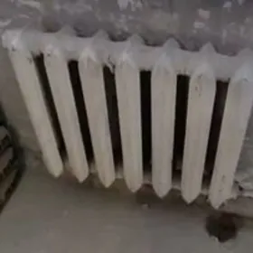 batarey moyka bejeryas