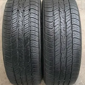 205/55R16 DUNLOP