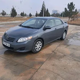 Toyota Corolla 2010
