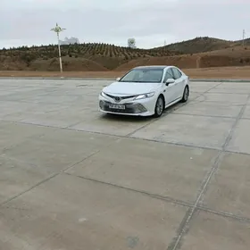 Toyota Camry 2019