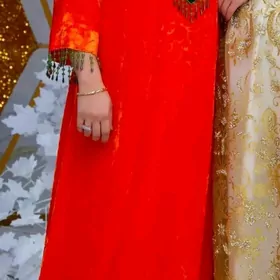 satlyk prakad koynek