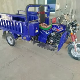 Fekon FK200-14G 2024