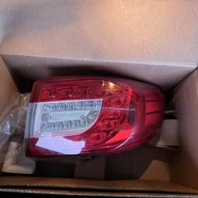 Corolla halyjy yzky fara