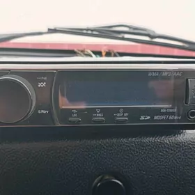 pioner delfin mantafon tazeje