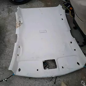 carolla patalok 19- 25