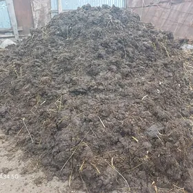 1маз нуры чуйрап дуран