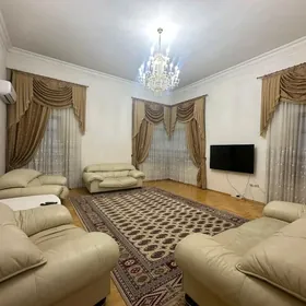 Mollonepes elitka arenda