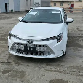Toyota Corolla 2022