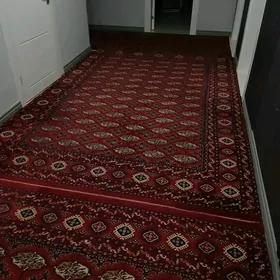 SATYN ALÝAS HALY PALAS ALÝAS