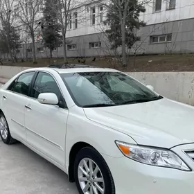 Toyota Camry 2010