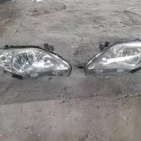 carolla fara 11_13 le