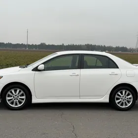 Toyota Corolla 2010