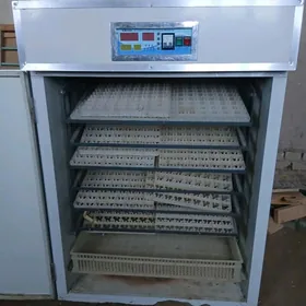 juje çykaren inkawator