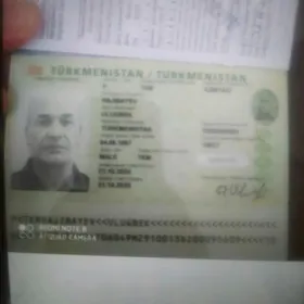 загран паспорт