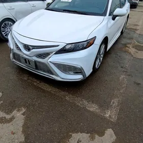 Toyota Camry 2023