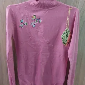 Rozuwyy renkde jempir