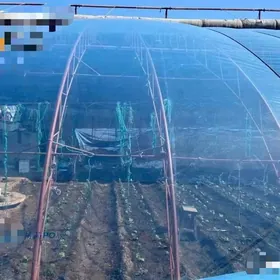 Parnik plyonkalaryny