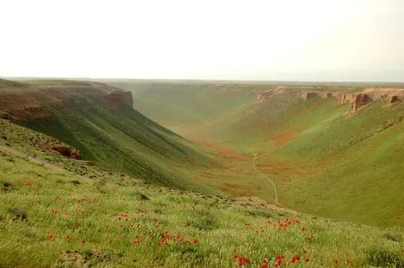 «Ýaş tebigatçy» we «Watan» gazeti döredijilik bäsleşigini yglan etdi