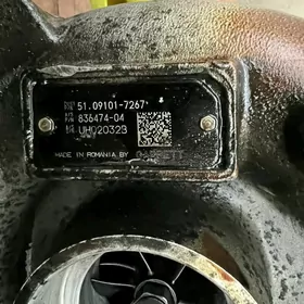 Турбина нижняя вторая