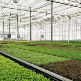 Yyladyshana teplitsa