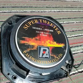 Toý dinamik pişanka