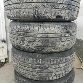 16lyk mary diska pakryşka