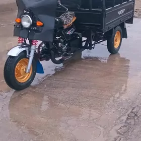 Fekon FK200-14G 2018