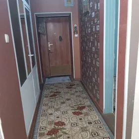 kw 137 beyik potolok das jay