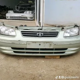 babycka fara çuyşe