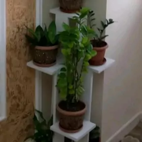 Mebel gul goyulyan pastavka