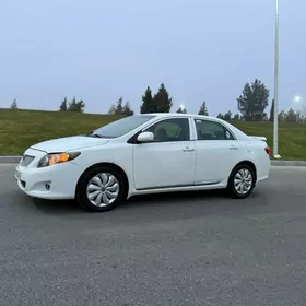 Toyota Corolla 2008