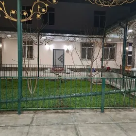 Satlyk howly 2gat kateź