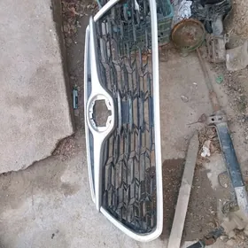 haylander morda abilsowka