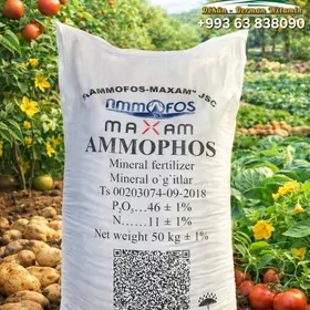 AMMAPHOS