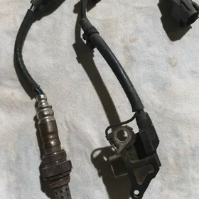 2008 Karolla piribor