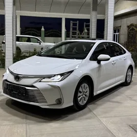 Toyota Corolla 2023