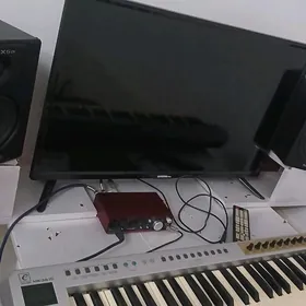 studio ses studia satlyk