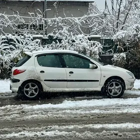 Peugeot 206 2004