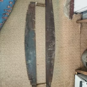 Пила дружба. Ары пычгы.