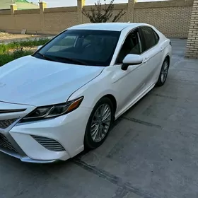 Toyota Camry 2020