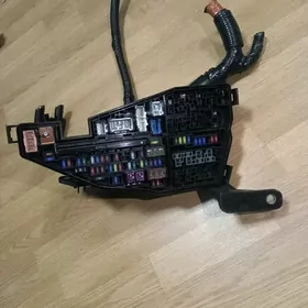 Highlander rele 2021ý