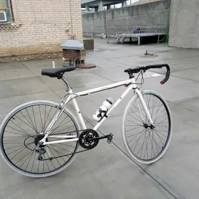 спартивни велисапет