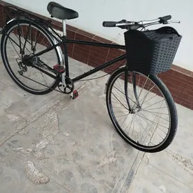 welsewit 28 lik yaponski