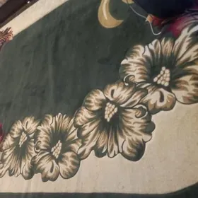 GERMANYA INI 3 BOYY 7