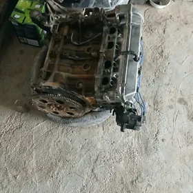 Toyota Prewiya DİWİTEL