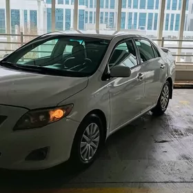 Toyota Corolla 2010