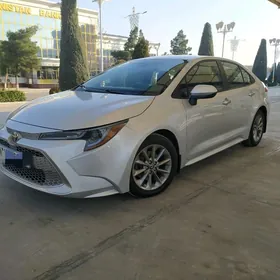 Toyota Corolla 2020