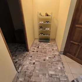 Arende jay mir2 gyssagly